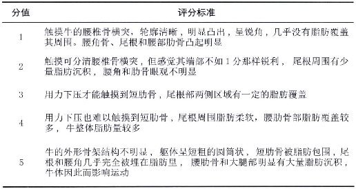 表4-8体况评分标准